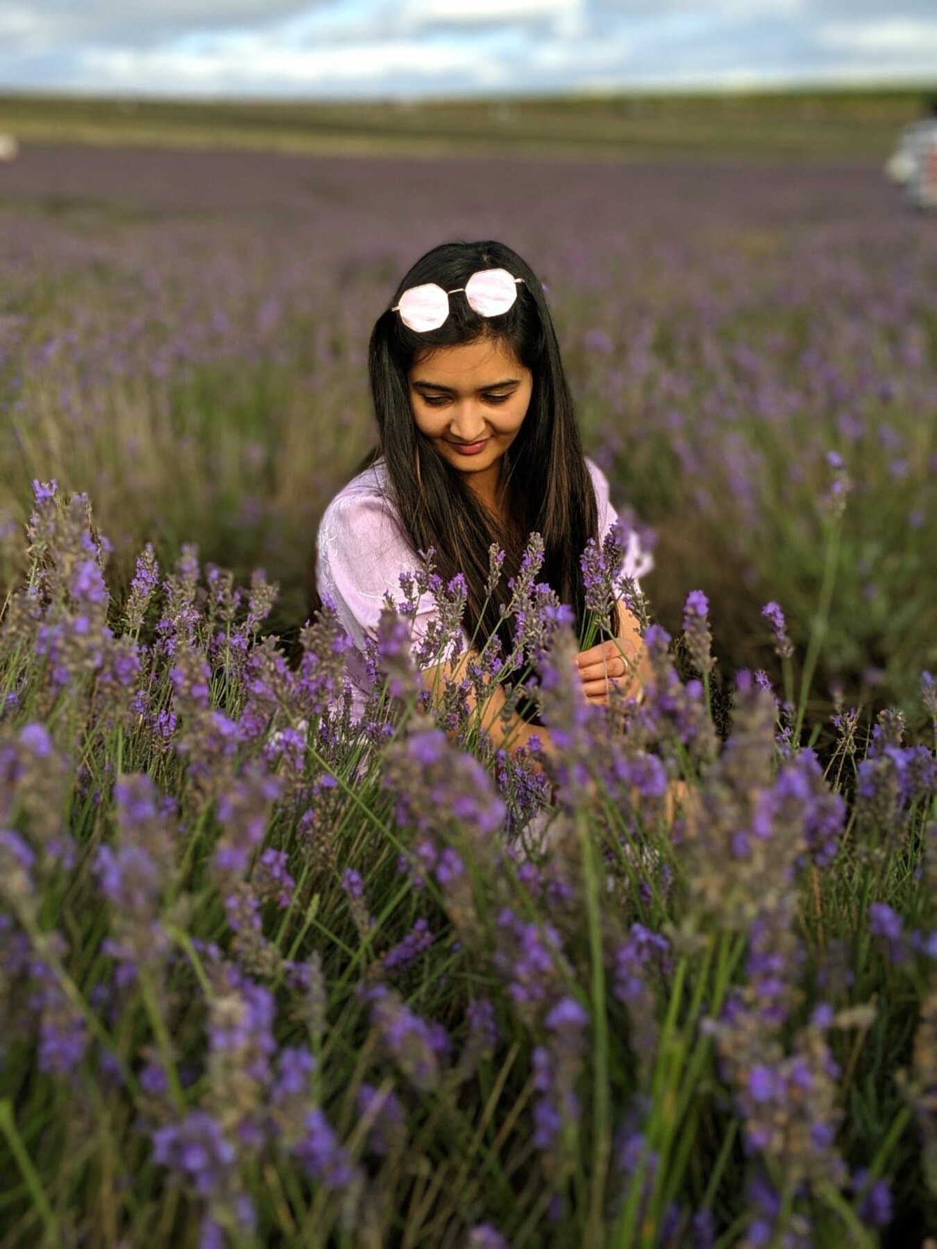 Akashic Field Integration