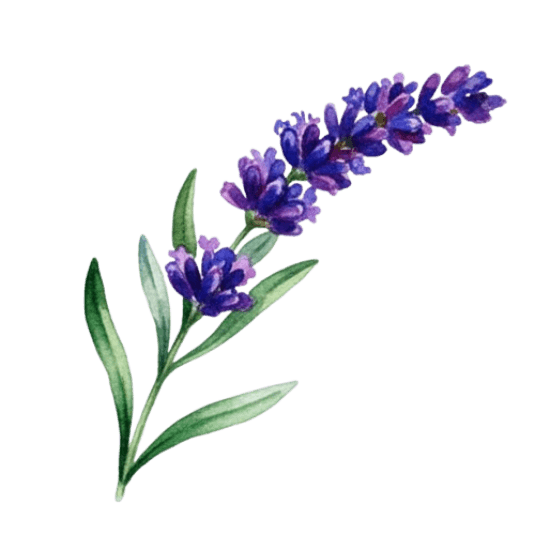 Lavender branch