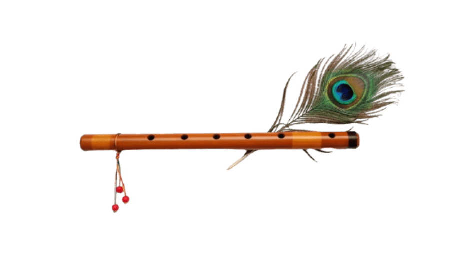 Flute with Peacock Feather